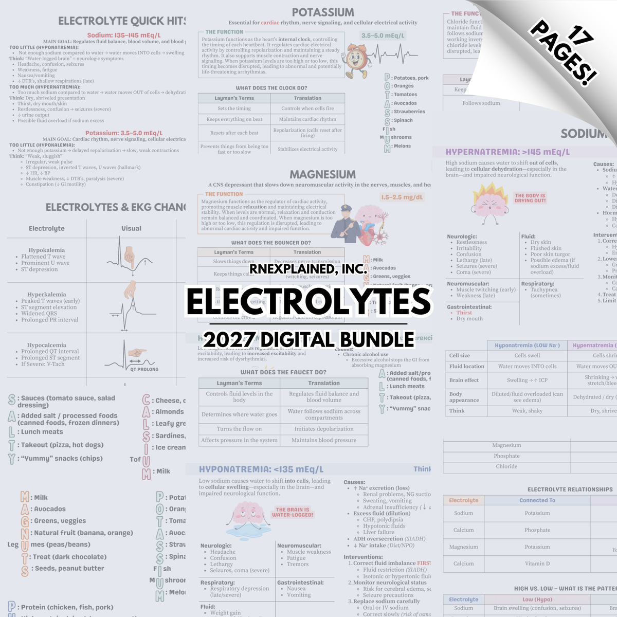 NEW! 2027 Electrolyte Bundle - Digital – RNExplained