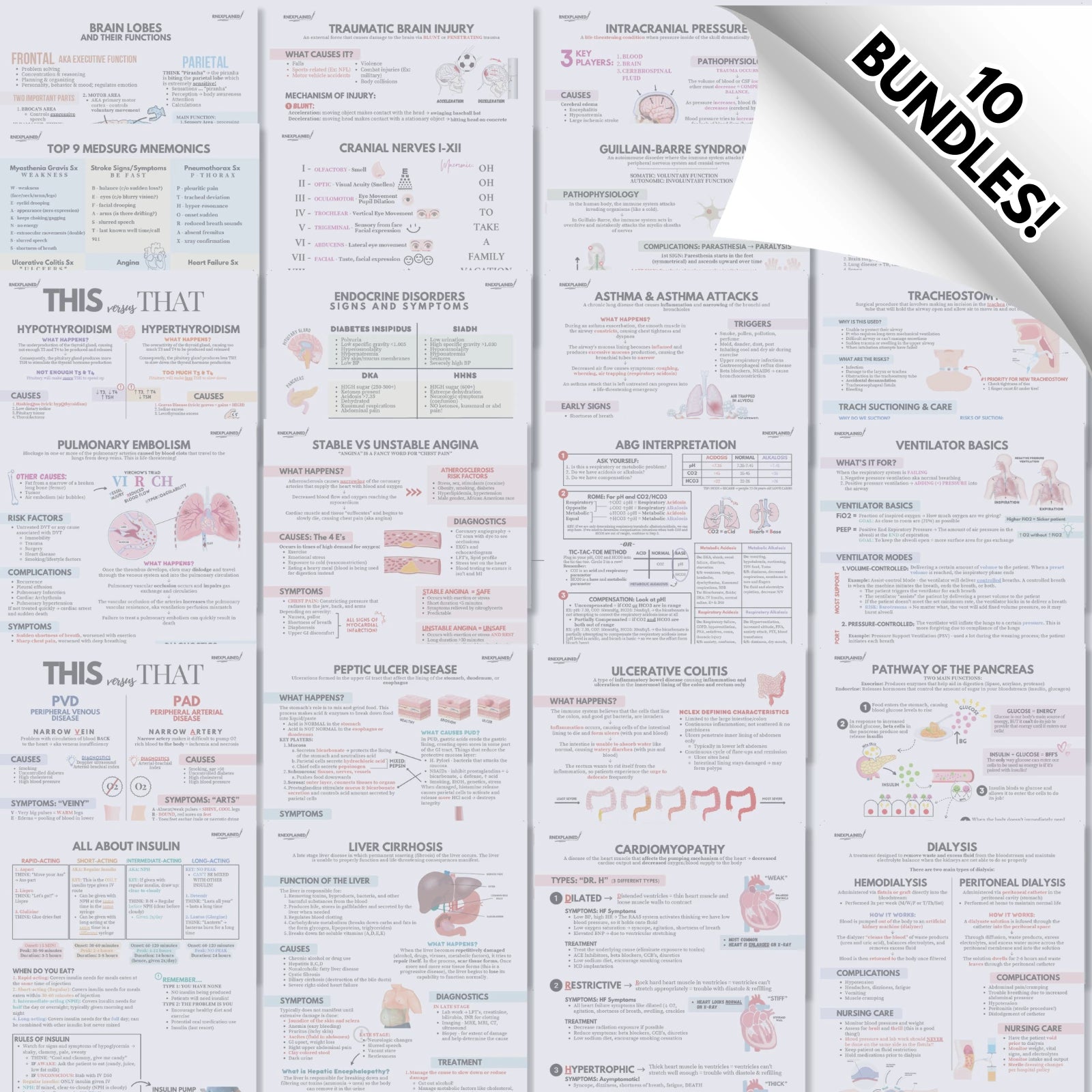 Comprehensive Bundle – RNExplained