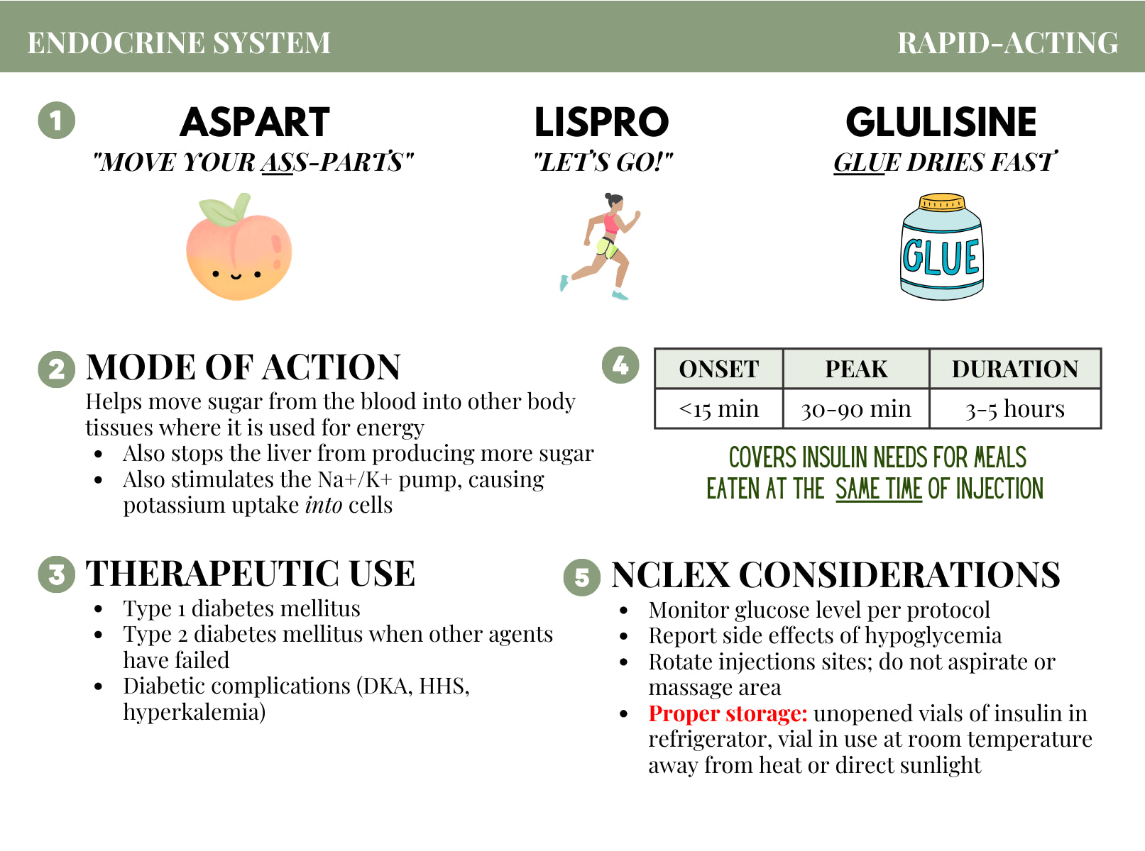 pharmacology-flashcard-set-rnexplained for Free Printable Pharmacology Flash Cards Pharmacology Flashcard Set – RNExplained for Free Printable Pharmacology Flash Cards