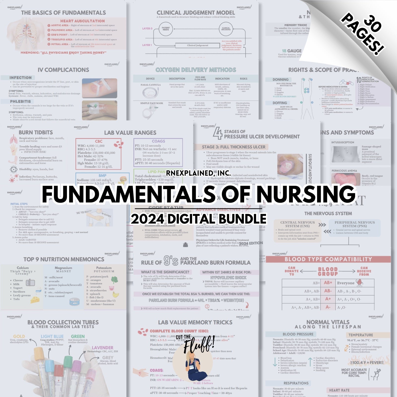 Fundamentals of Nursing Bundle - Digital – RNExplained